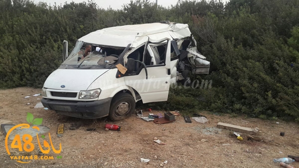 acc lud near (5).jpg